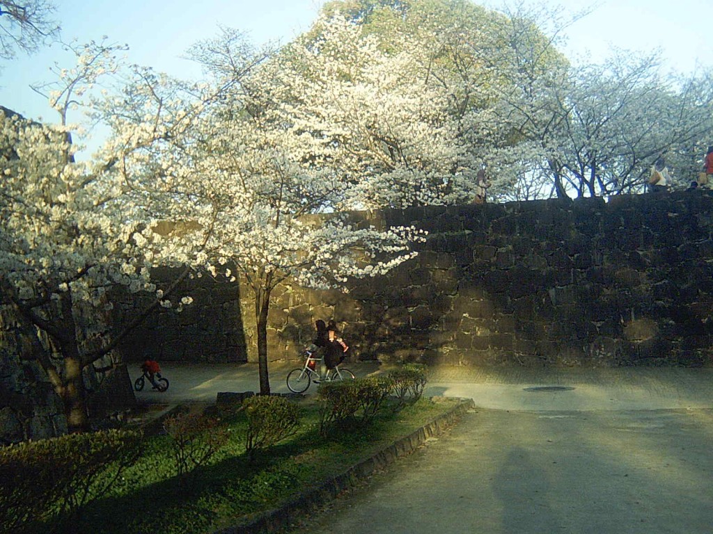 ICAM0001 ICAM0001