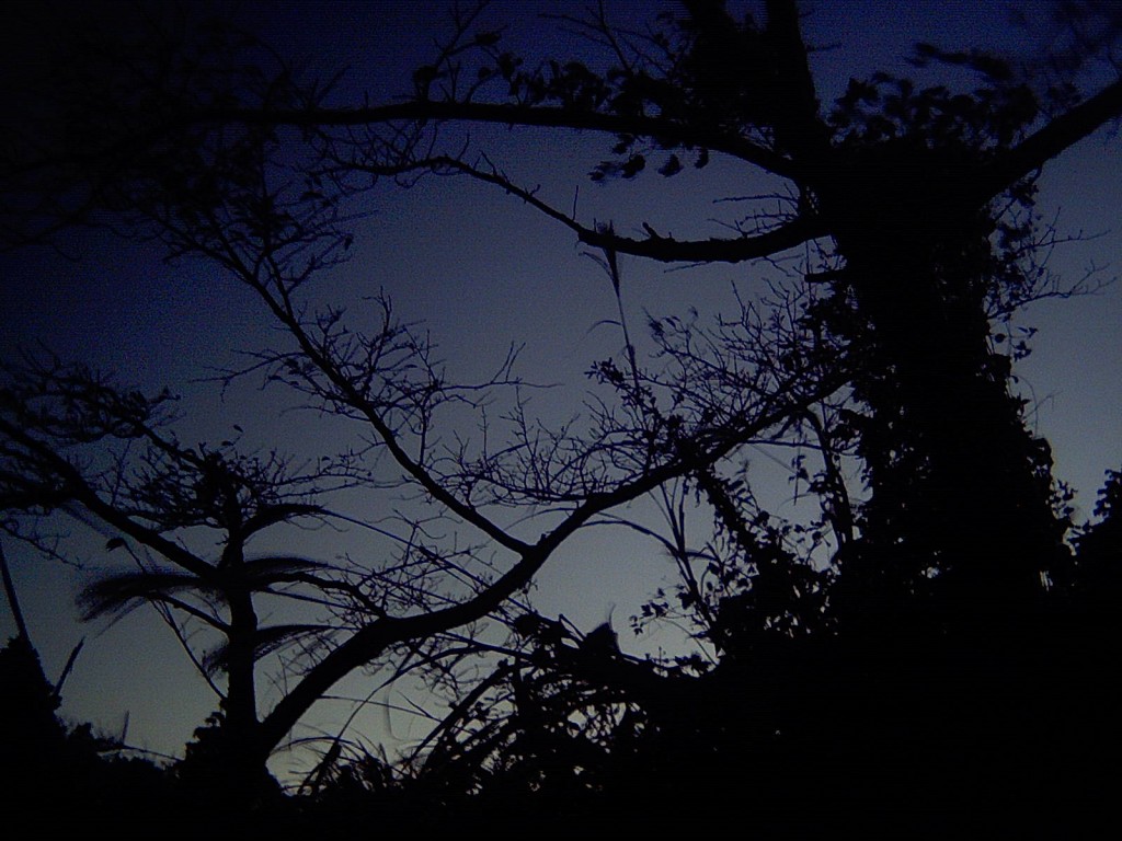 ICAM0003
